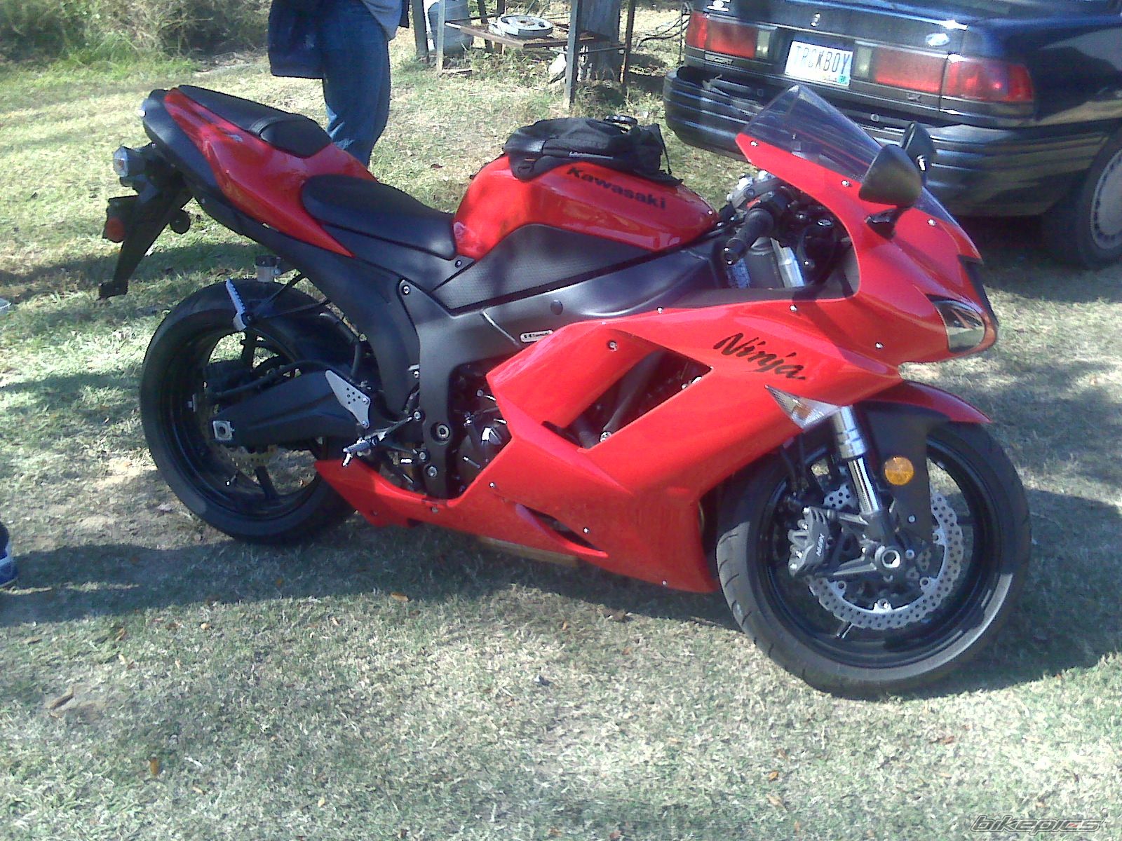 Photo 2010453