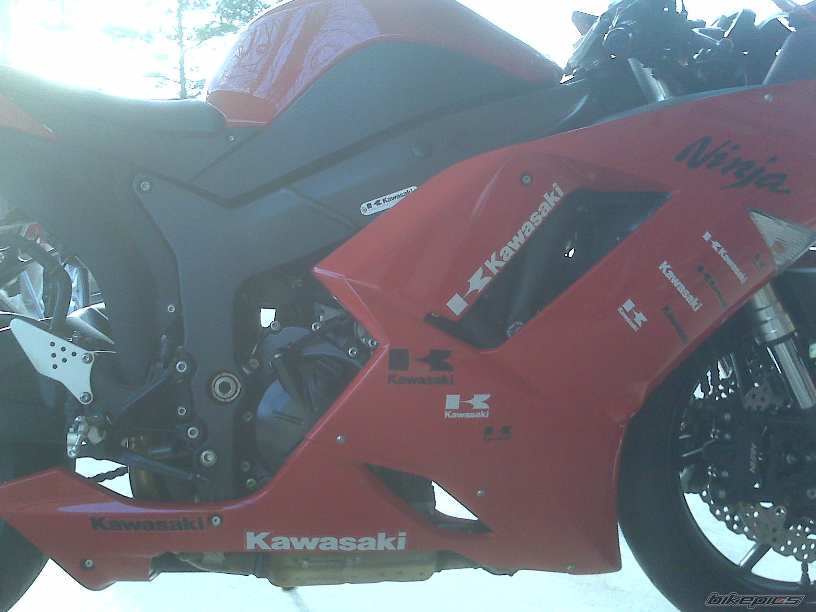 Photo 2010455