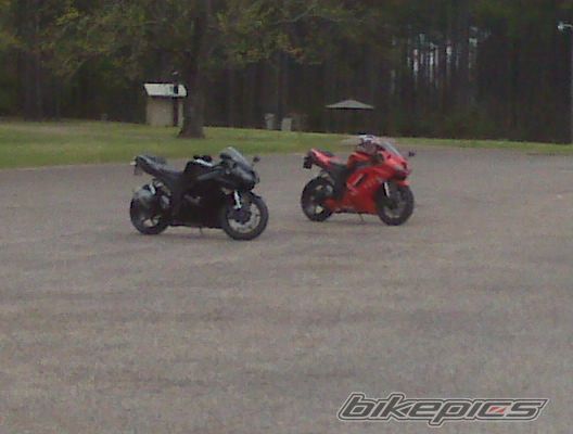 Photo 2010462