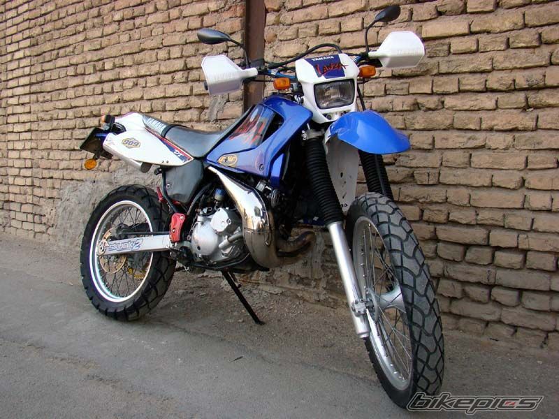Photo 2010504