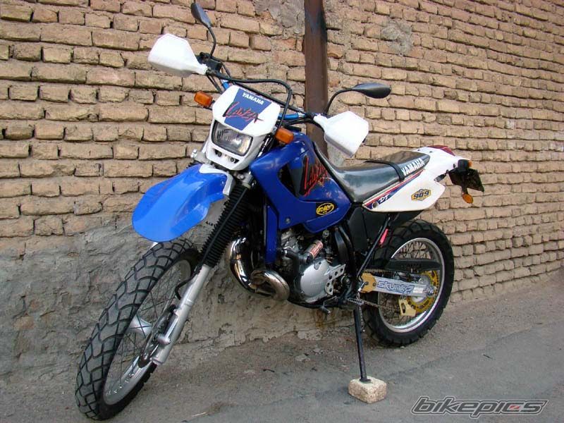 Photo 2010510