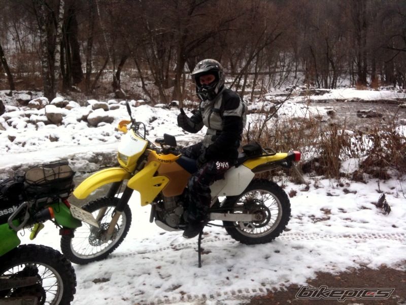 Photo 2010518