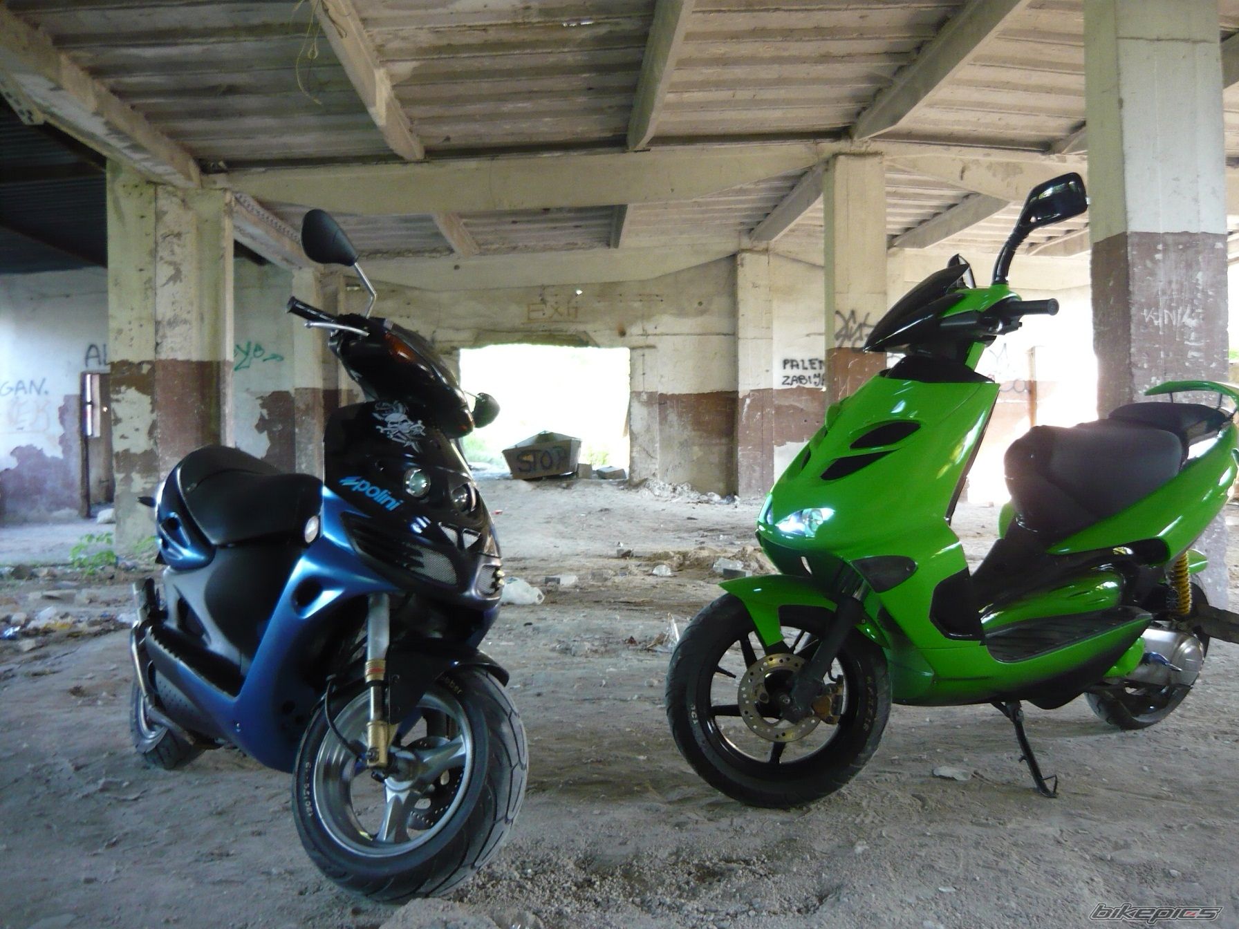 Photo 2010596