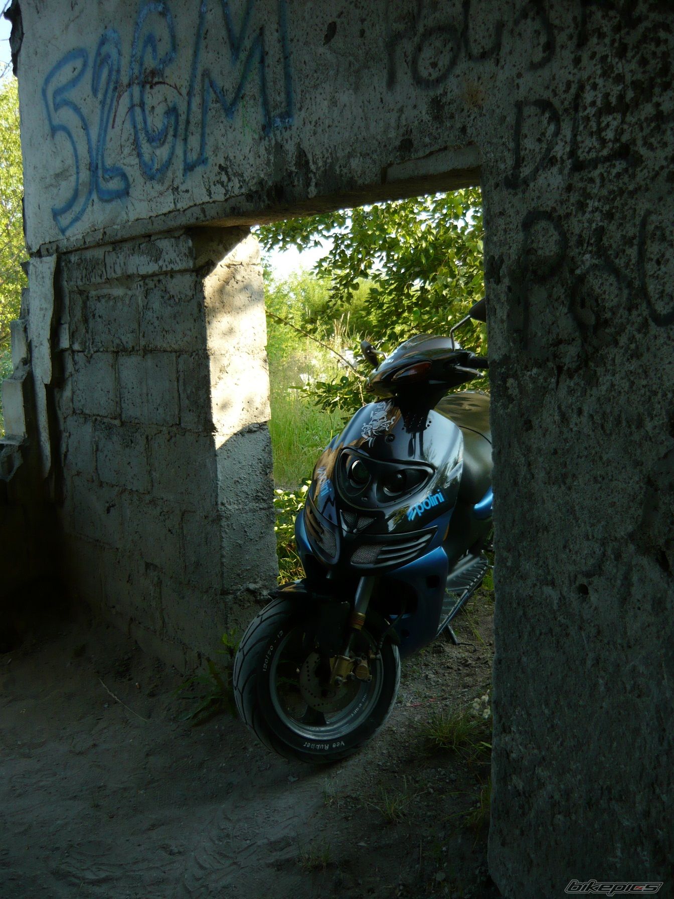 Photo 2010601