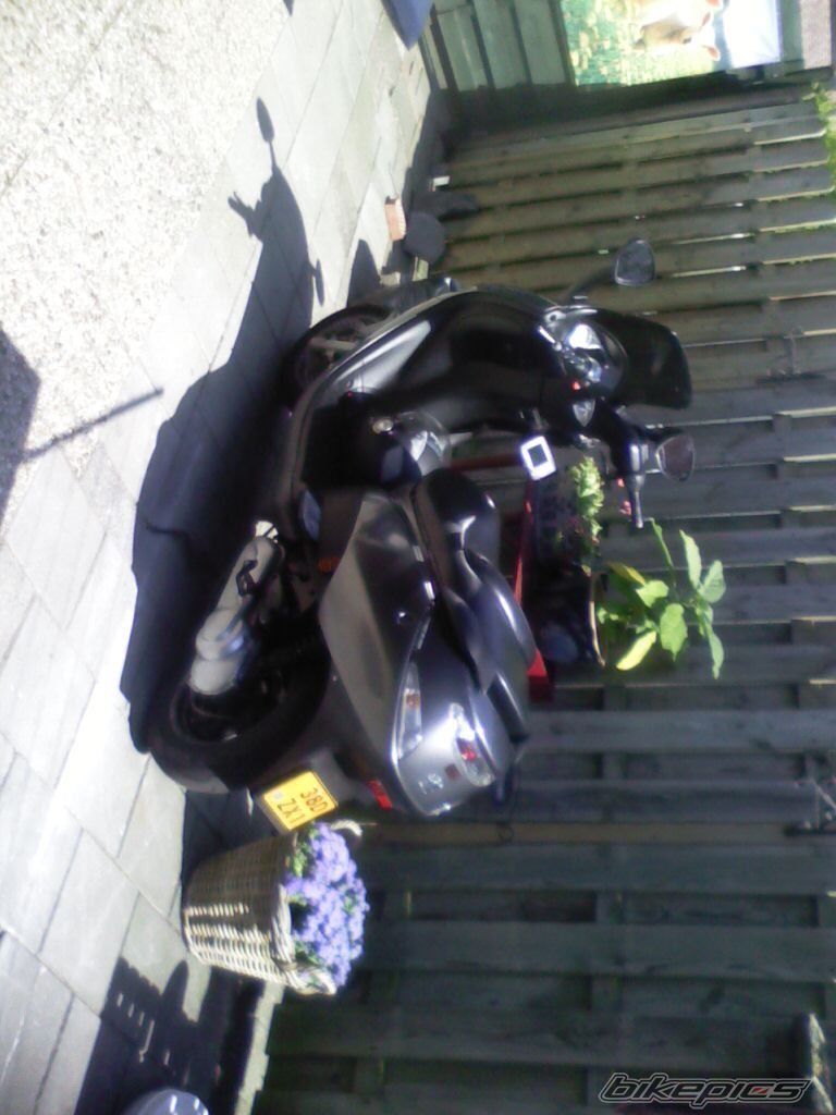 Photo 2010722