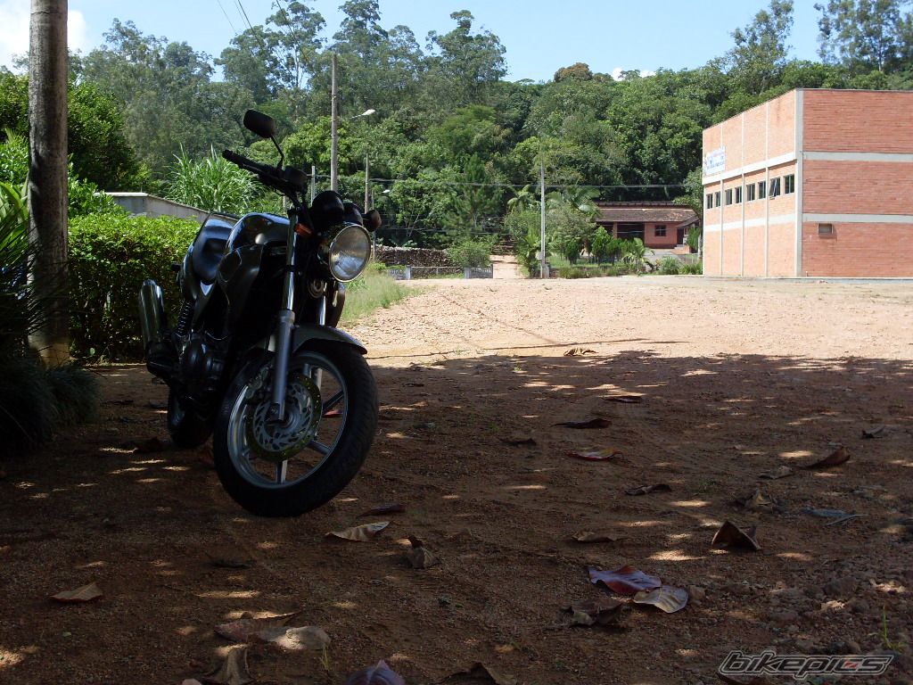Photo 2010825