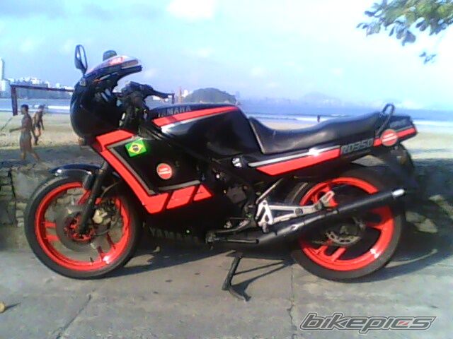 Photo 2010843