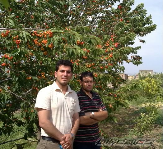 Photo 2010868