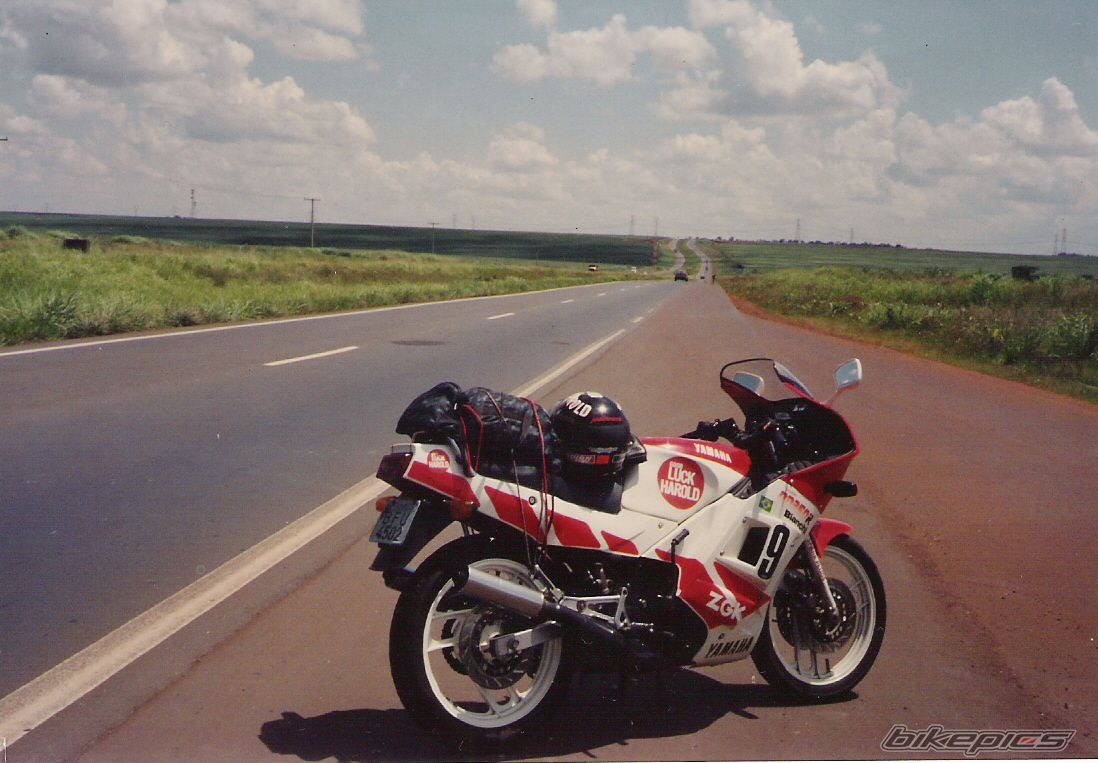 Photo 2010870