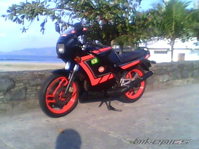 Photo 2010885
