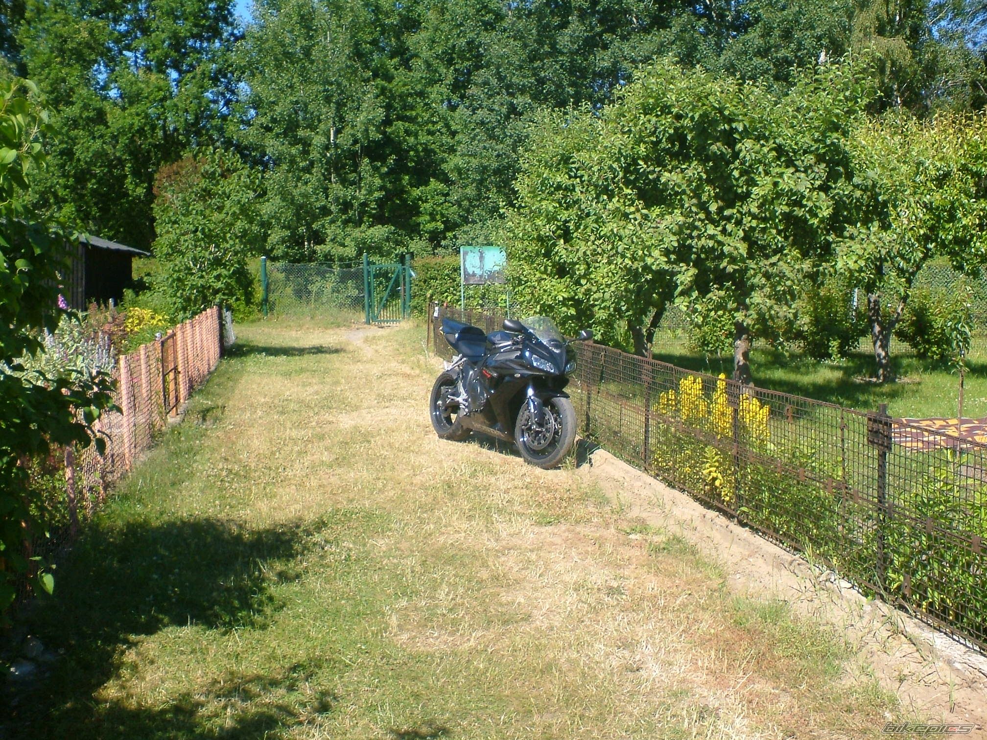 Photo 2010955
