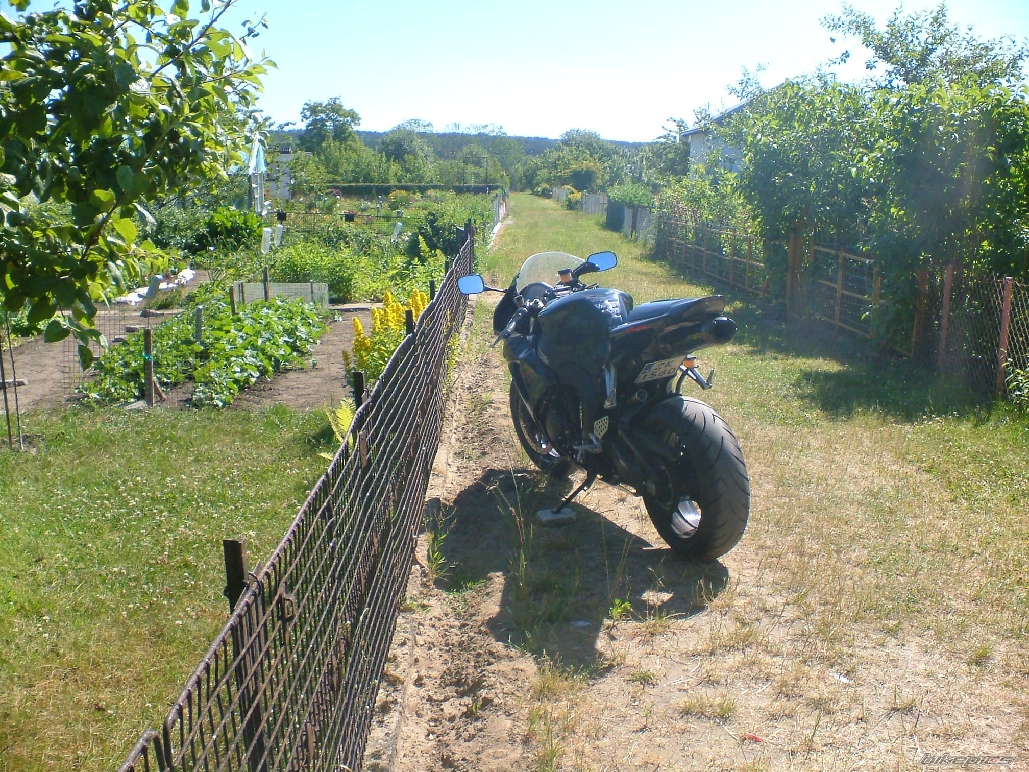 Photo 2010960
