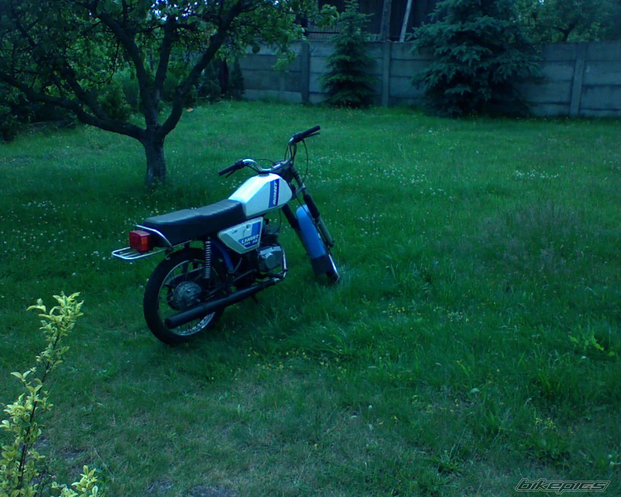 Photo 2010965