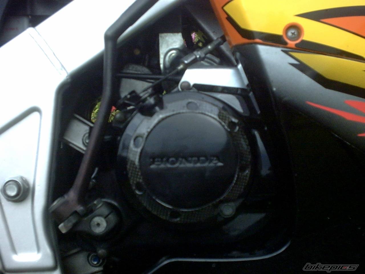 Photo 201097