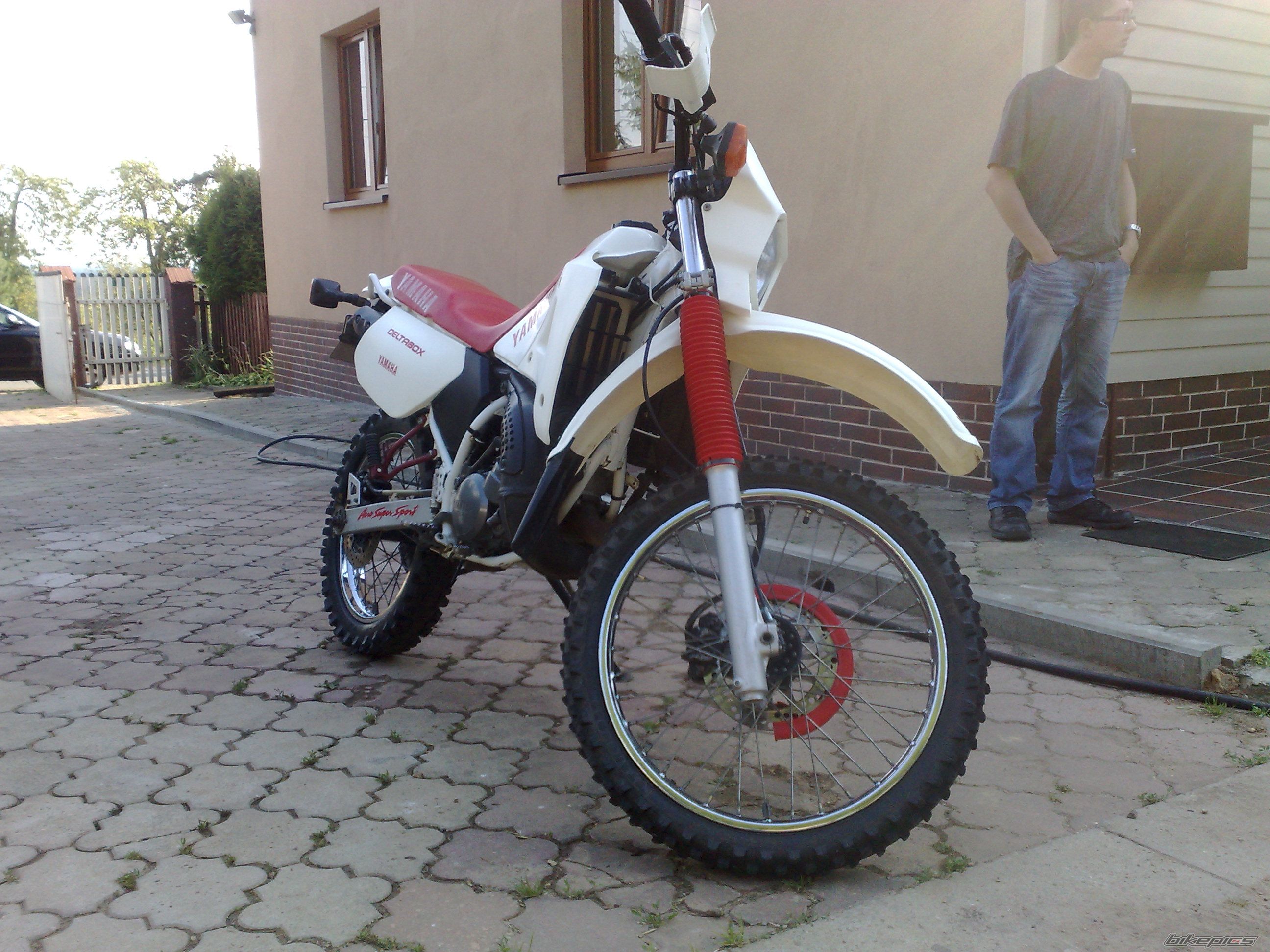 Photo 2010981
