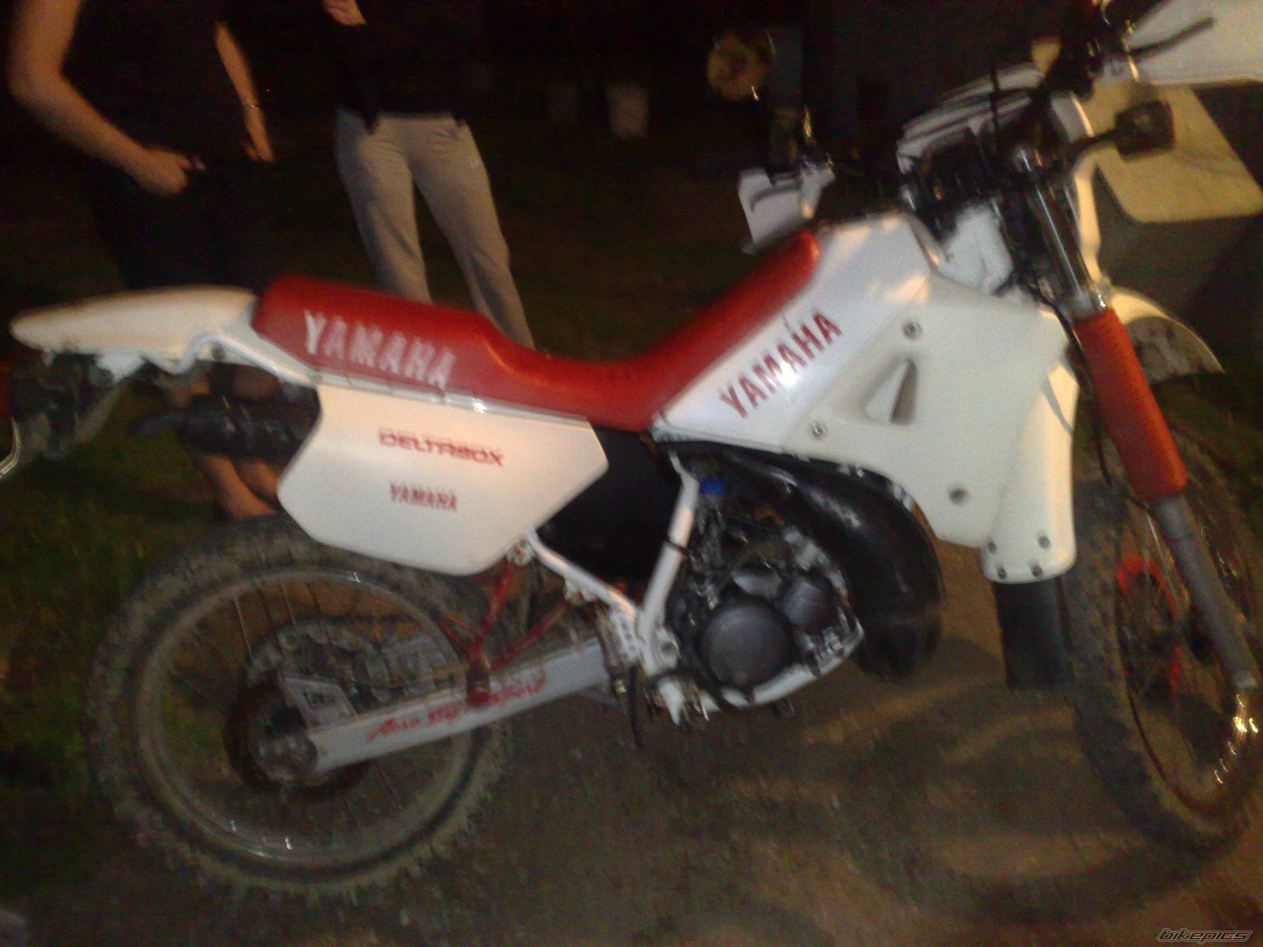Photo 2010986