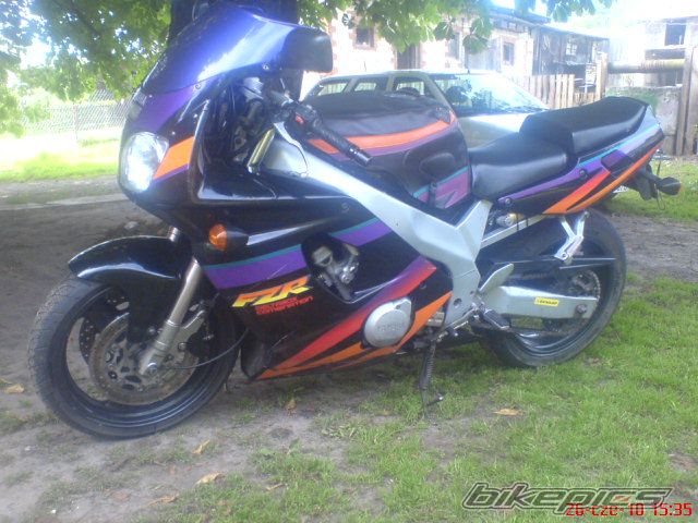 Photo 2010995