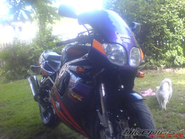 Photo 2011001