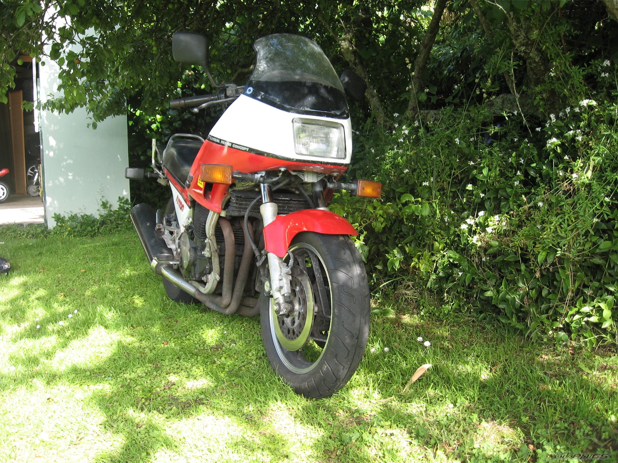 Photo 2011064