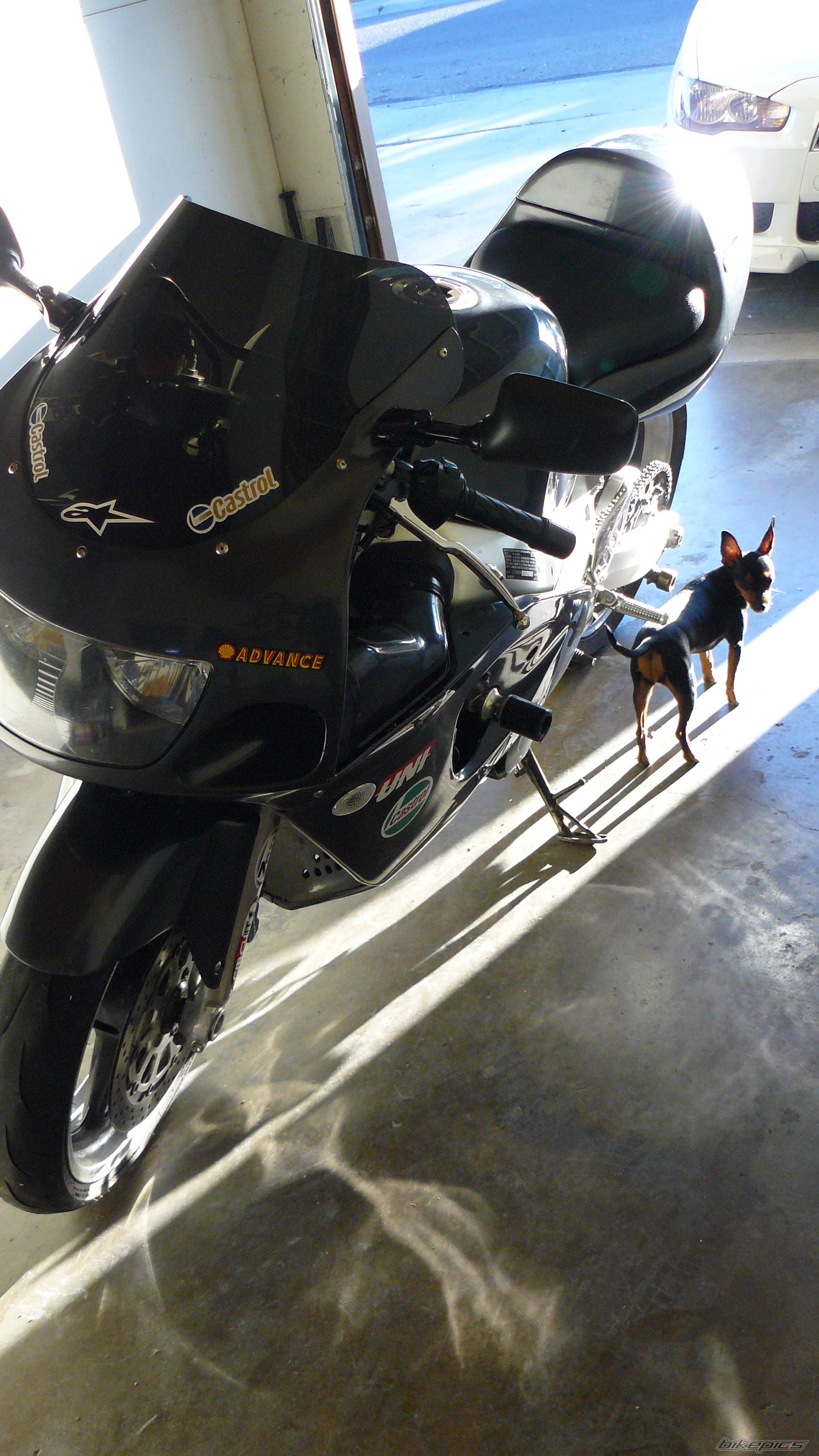 Bike Photo 2011070