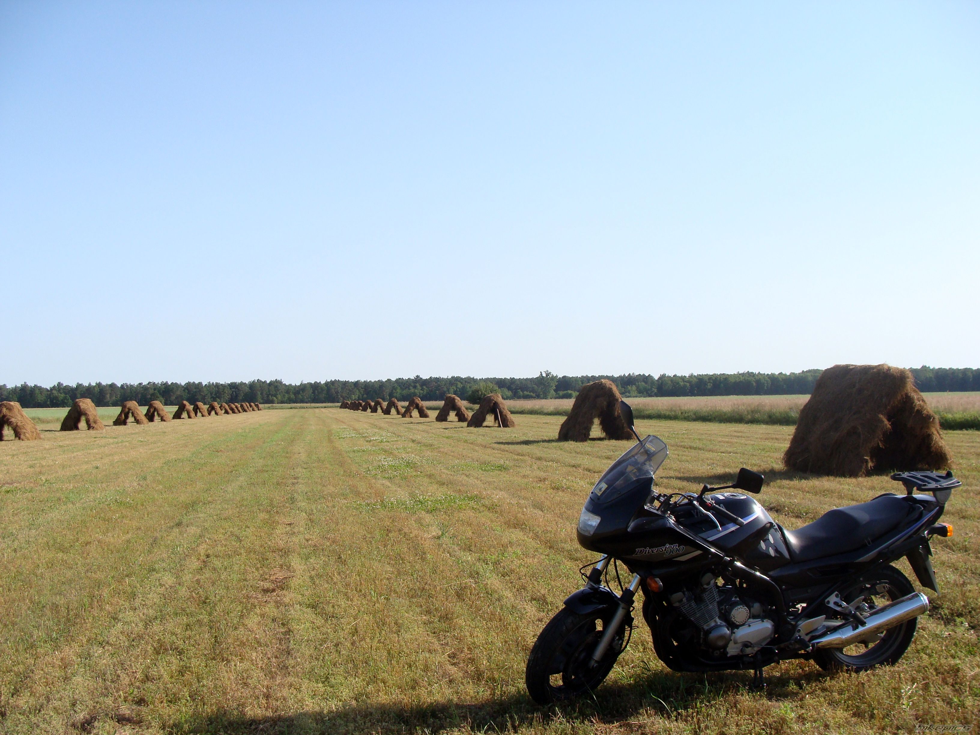Bike Photo 2011156