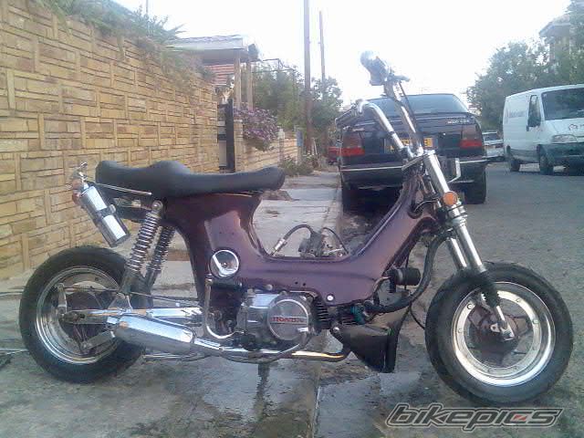 Photo 2011158