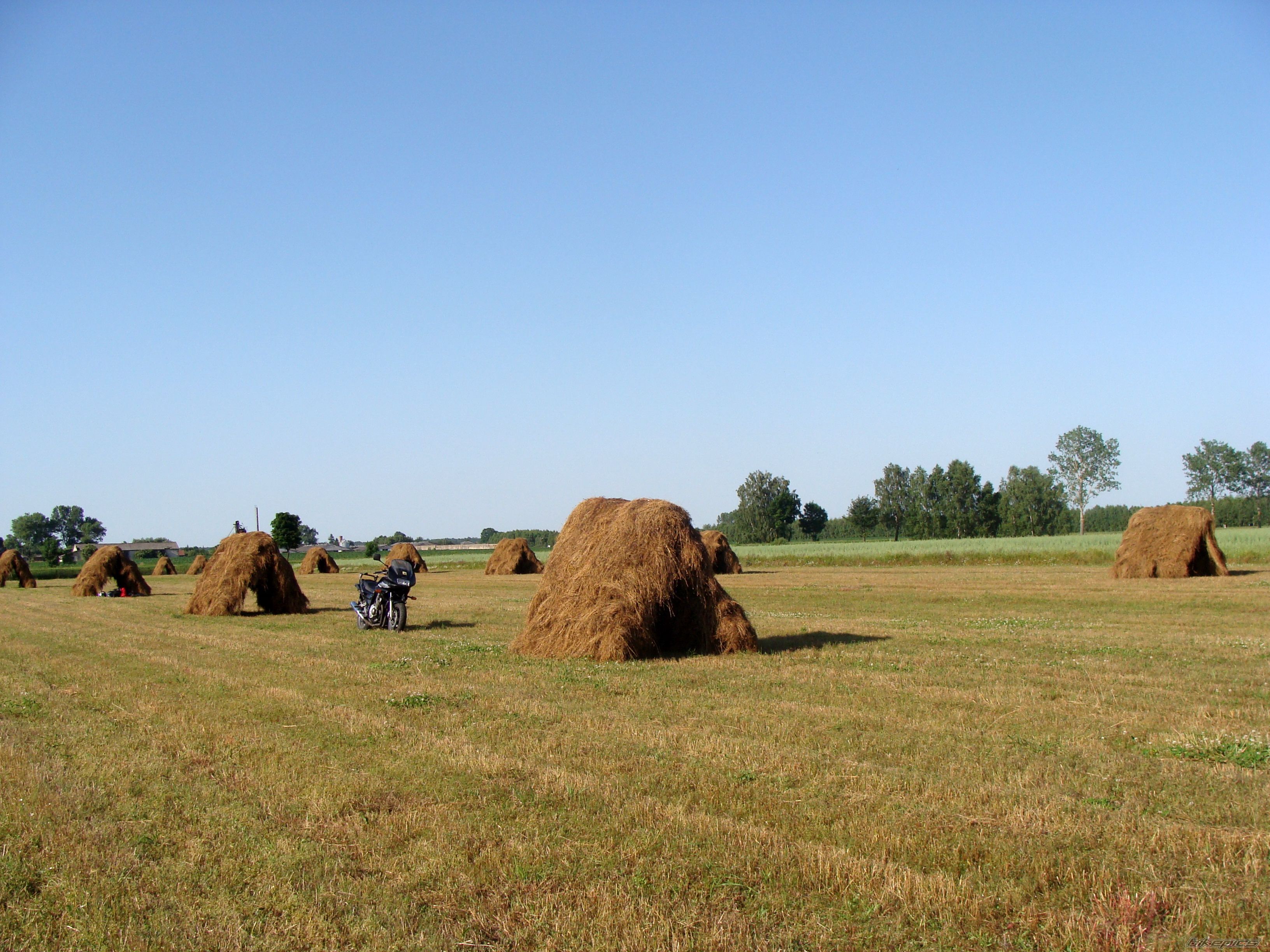 Bike Photo 2011163
