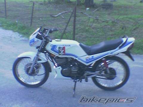 Photo 2011176