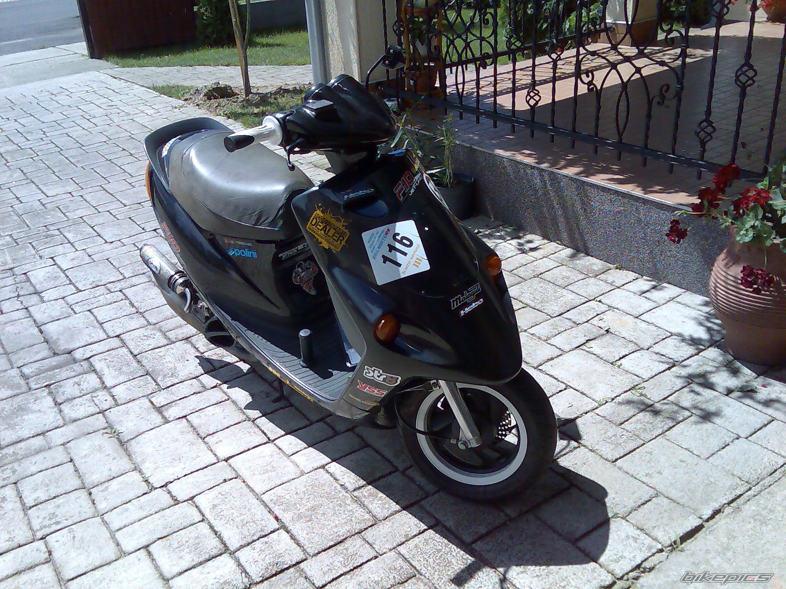 Photo 2011218