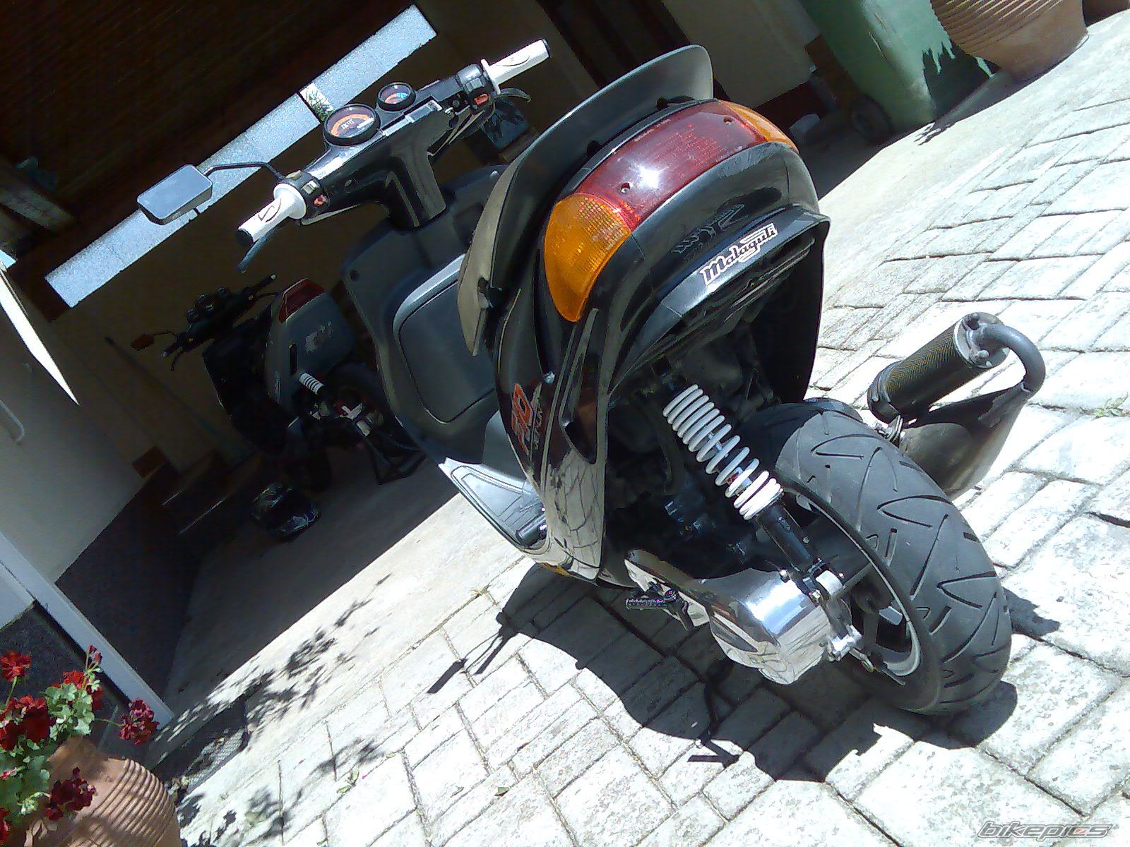 Photo 2011219