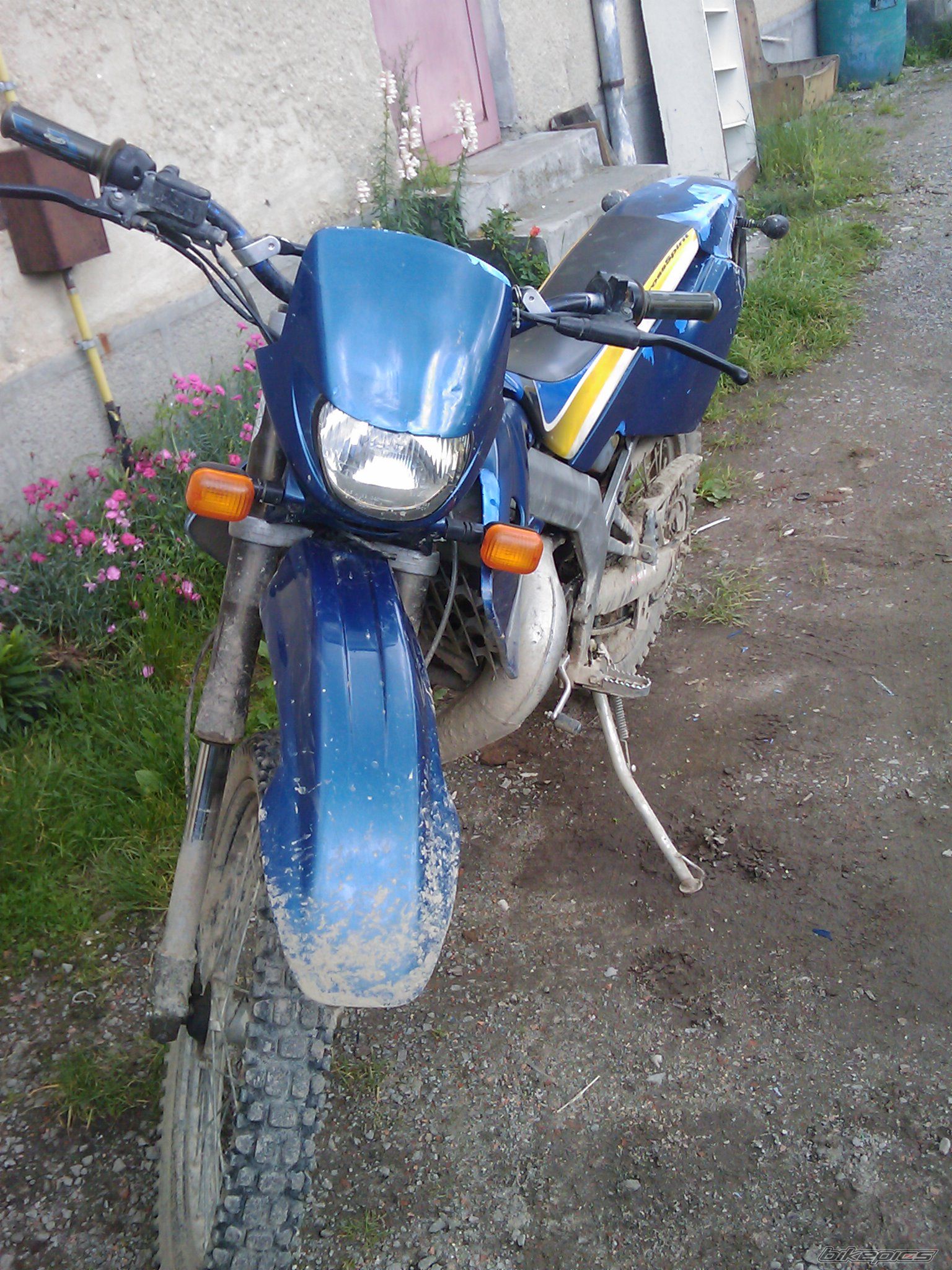 Photo 2011226
