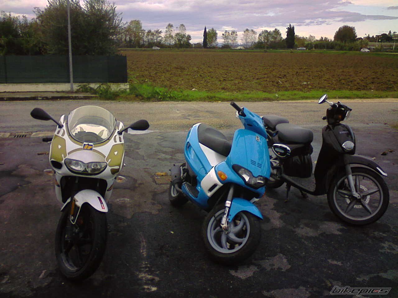 Photo 2011245