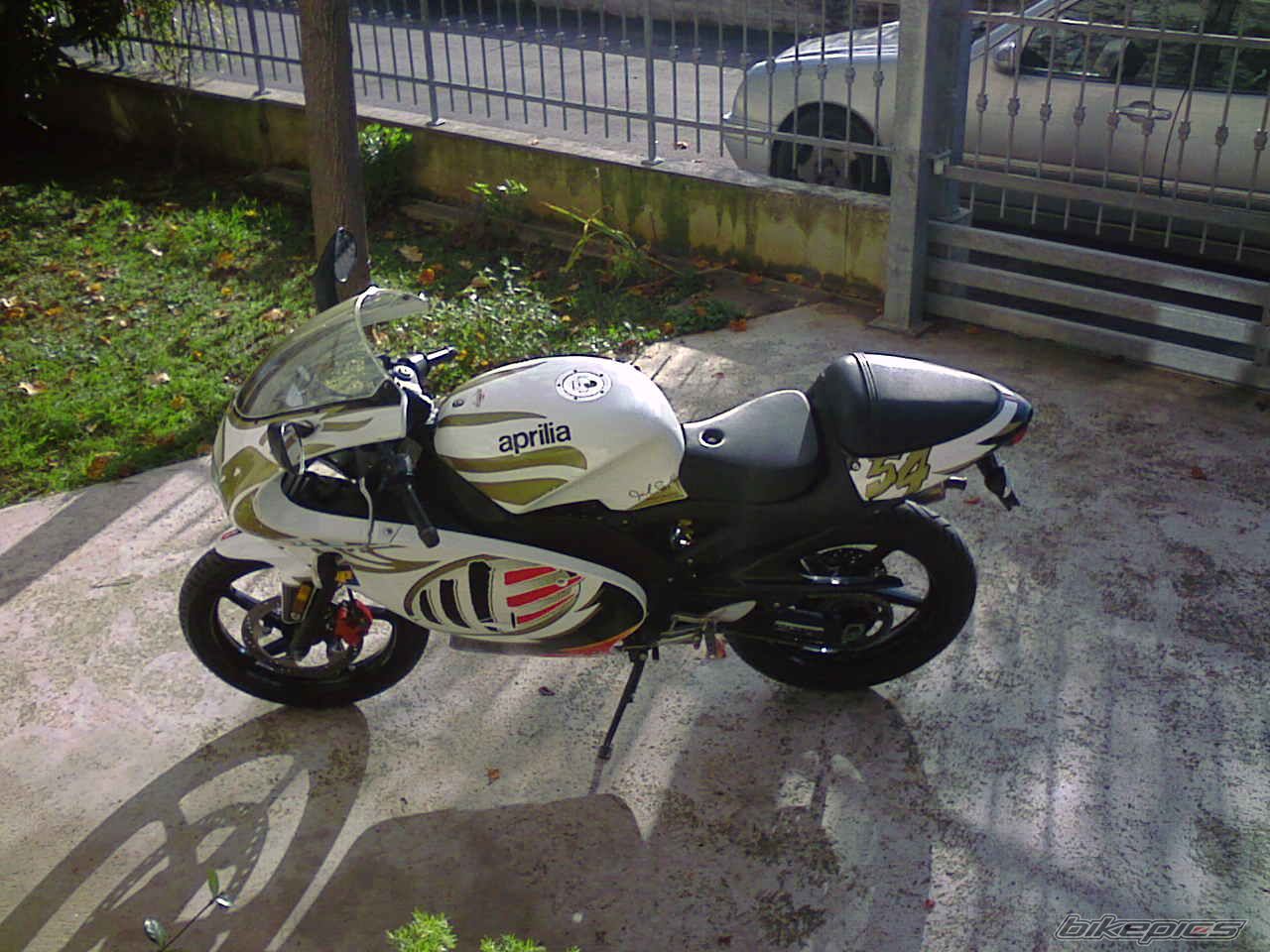 Photo 2011248
