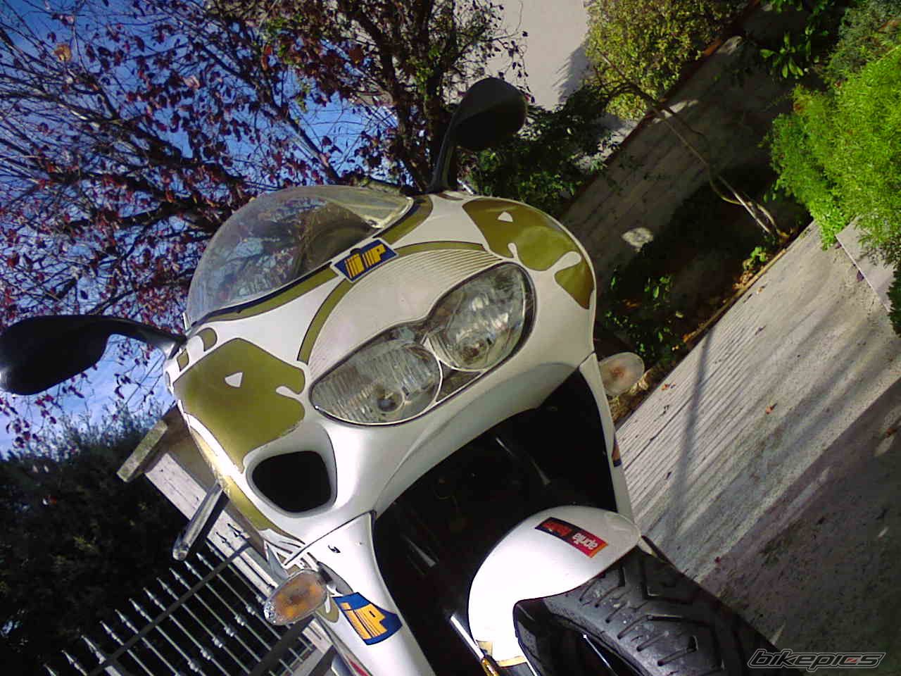 Photo 2011250