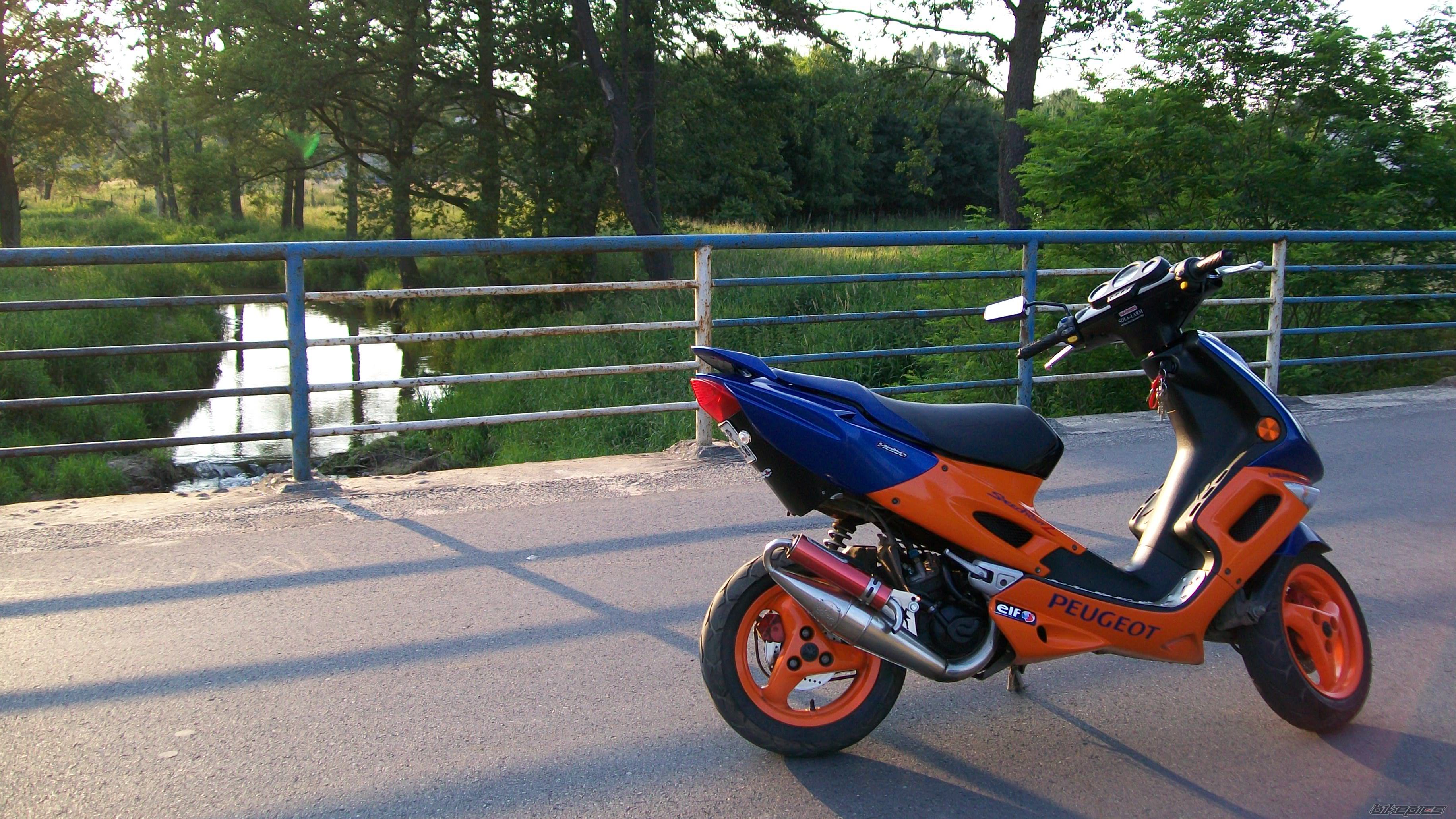 Photo 2011264