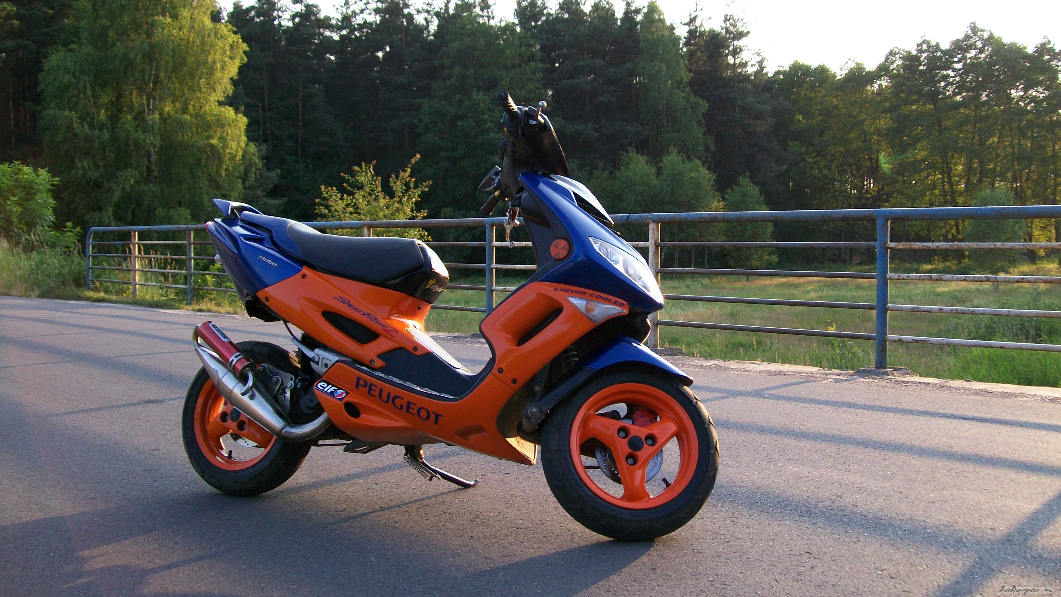 Photo 2011269