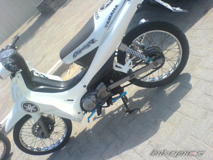 Photo 2011281