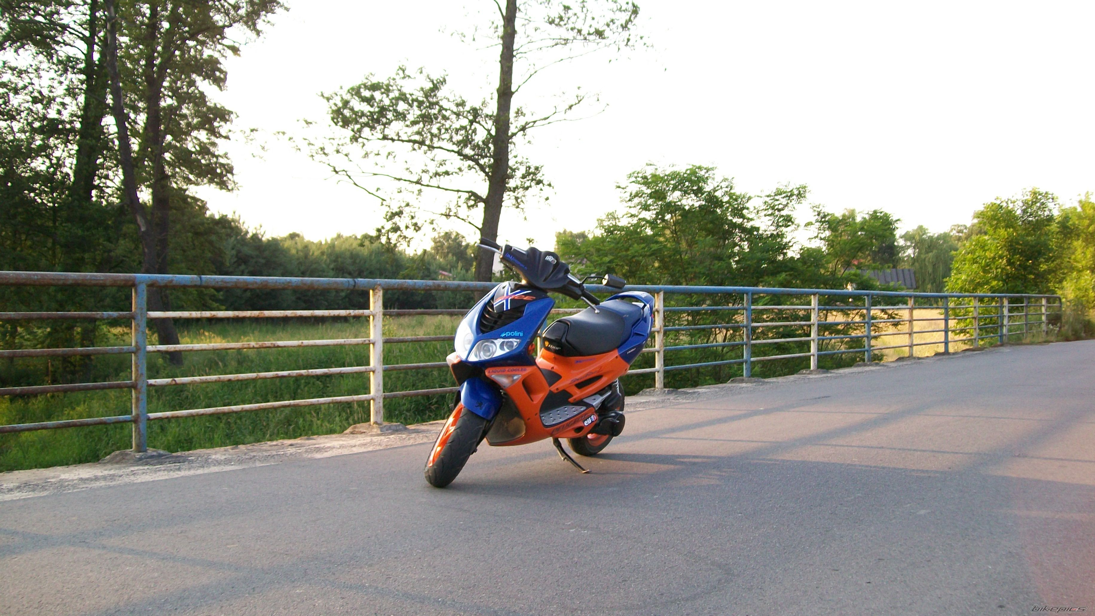 Photo 2011291