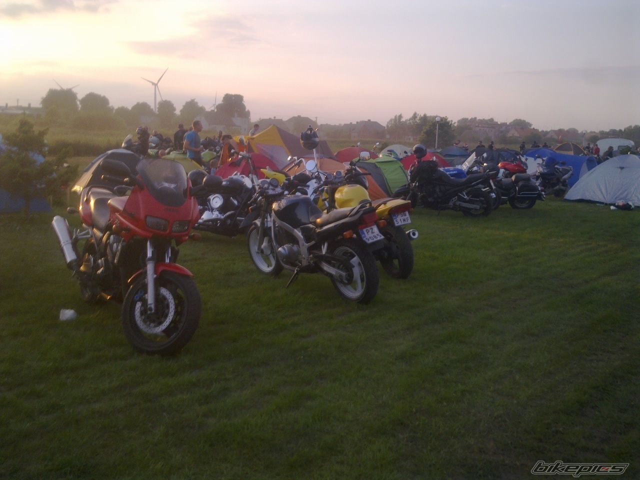 Photo 2011359
