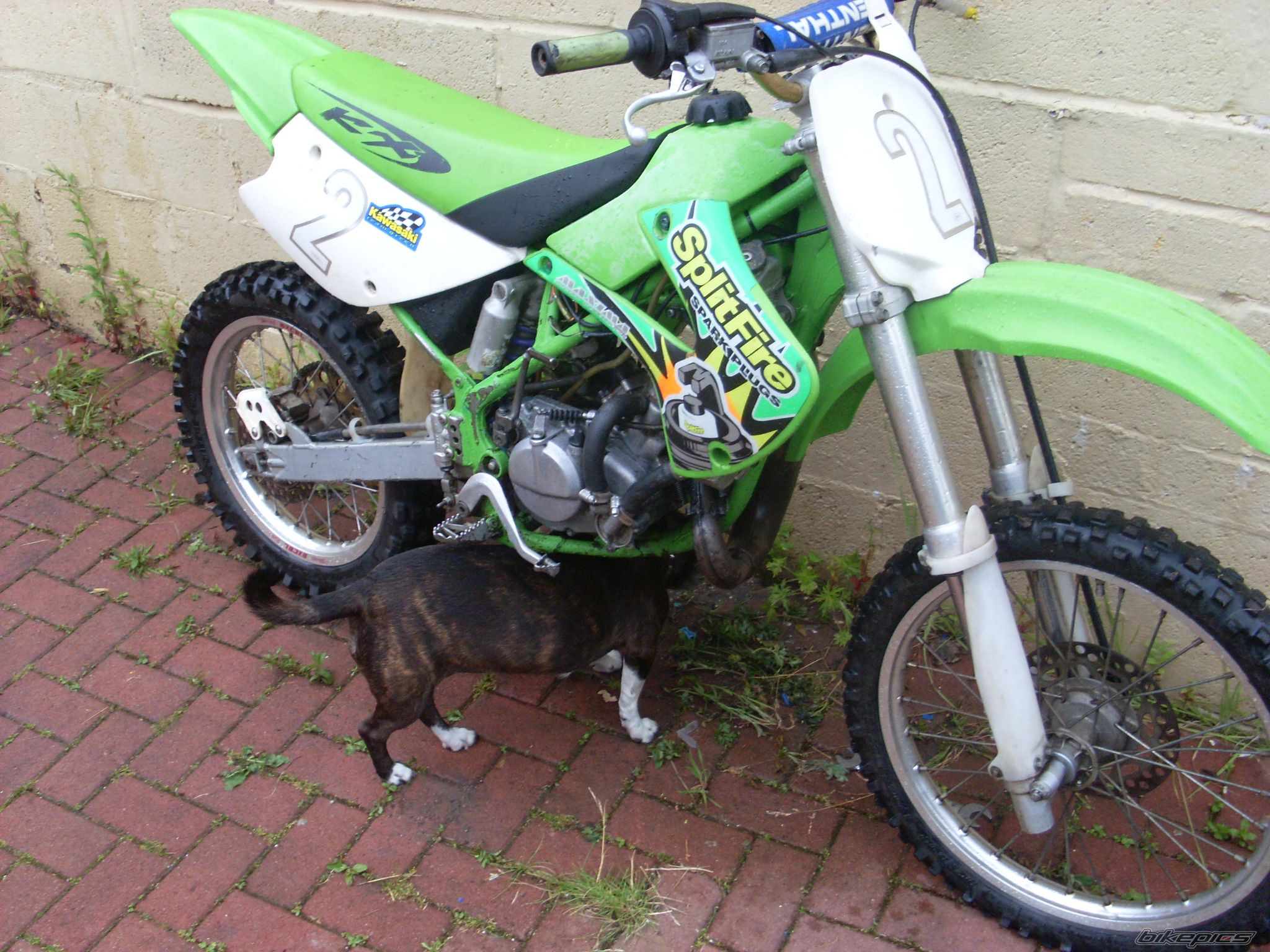 Photo 2011395