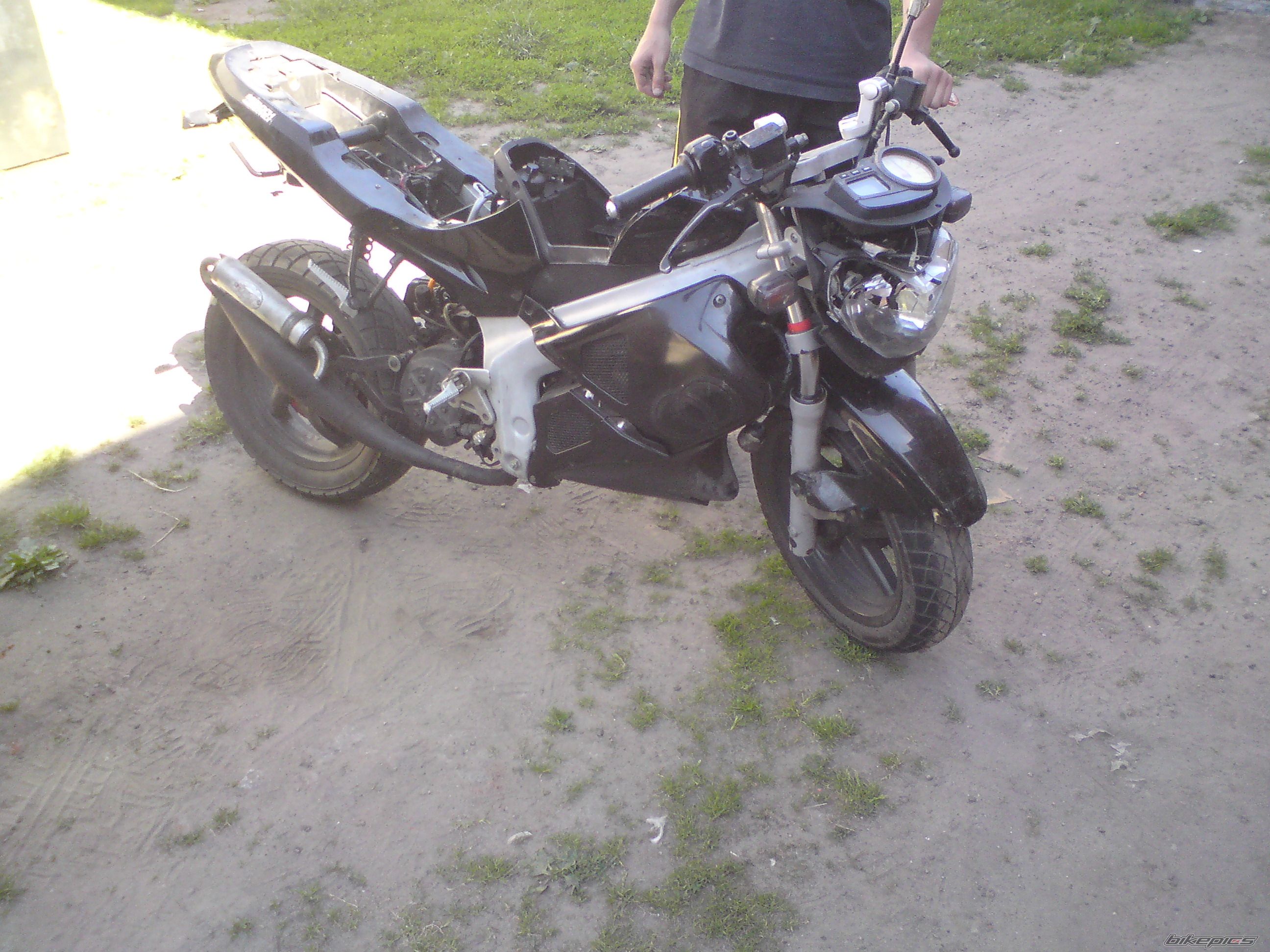 Photo 2011405