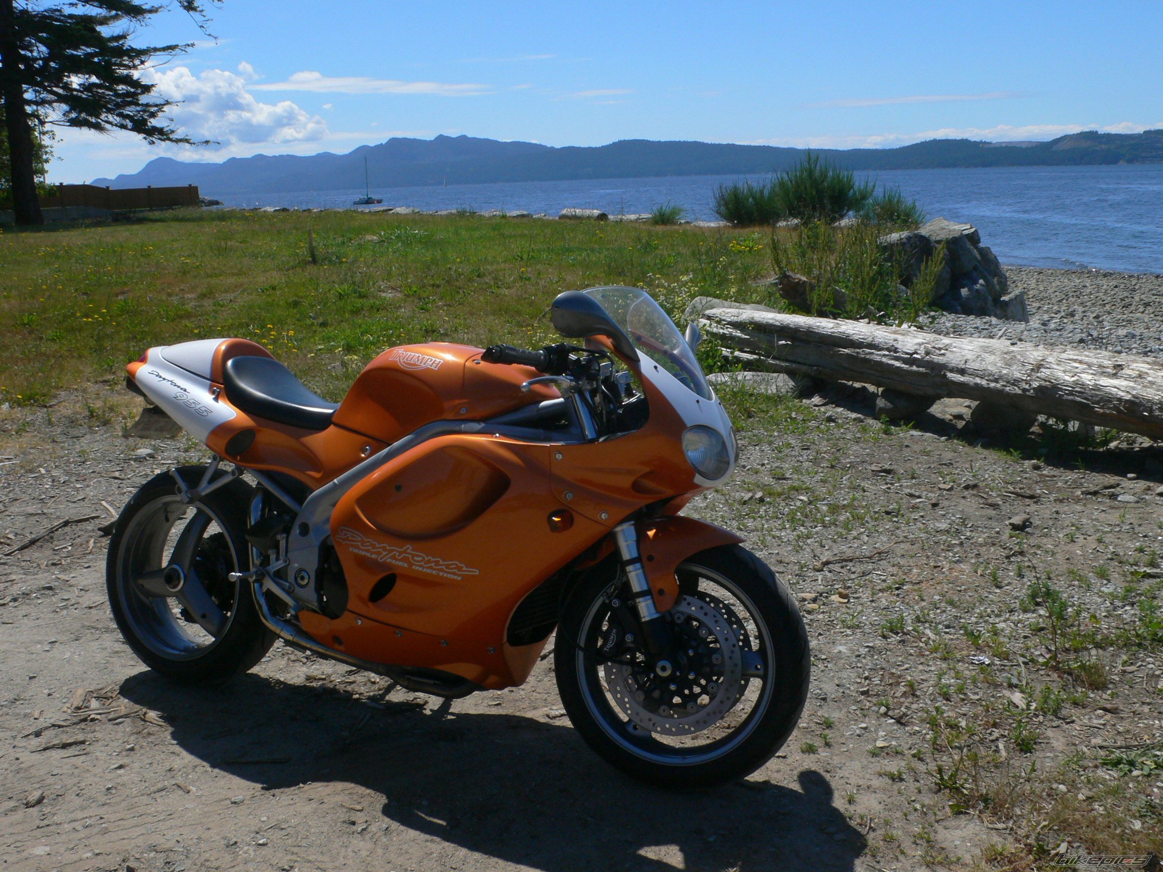 Photo 2011490