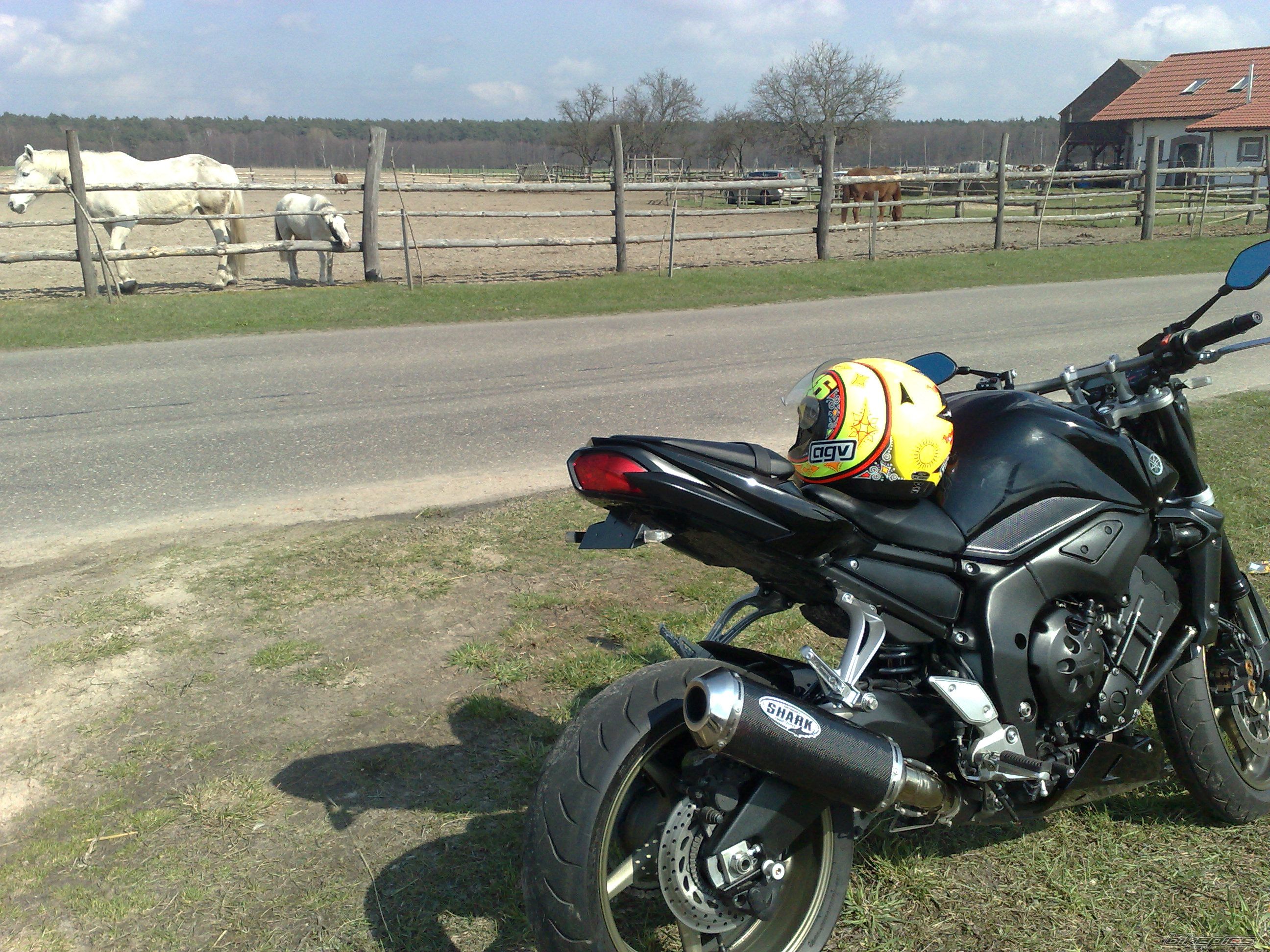 Photo 2011500