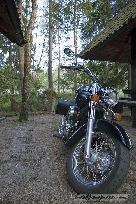 Photo 2011509