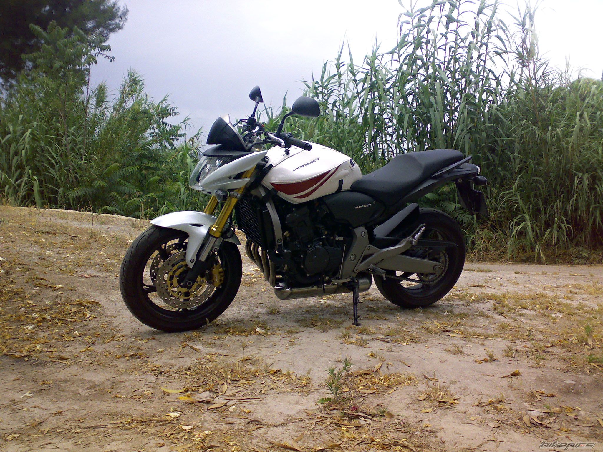 Photo 2011514