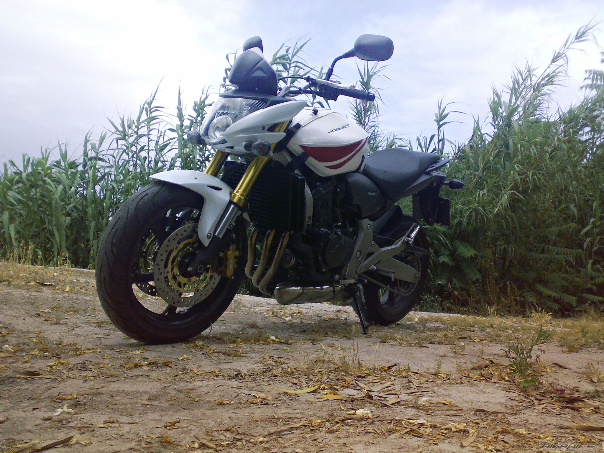 Photo 2011515