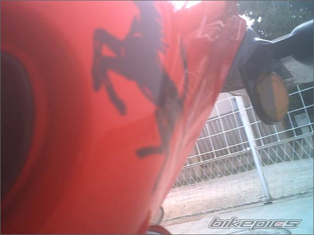 Photo 201152