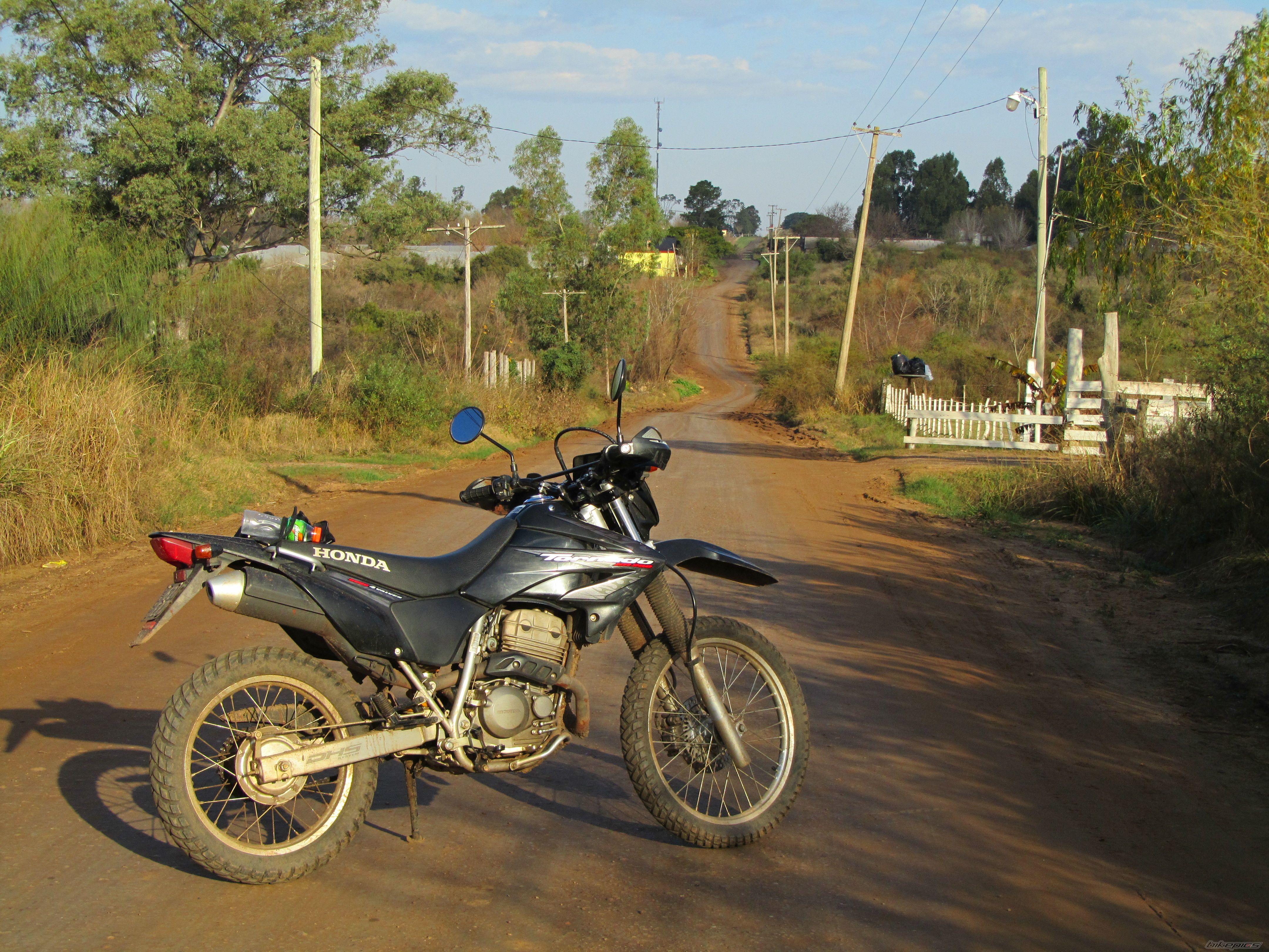 Photo 2011529