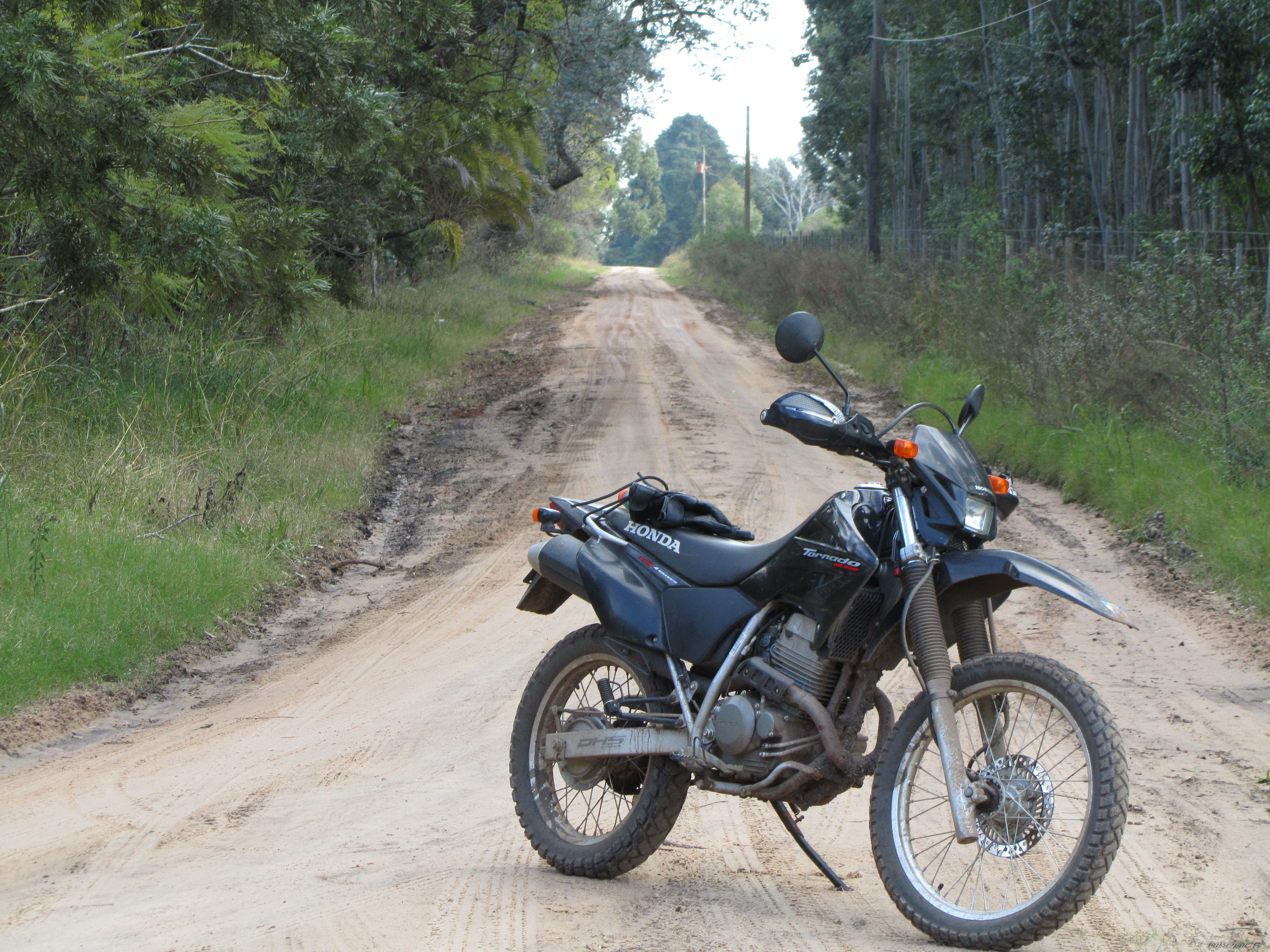 Photo 2011536