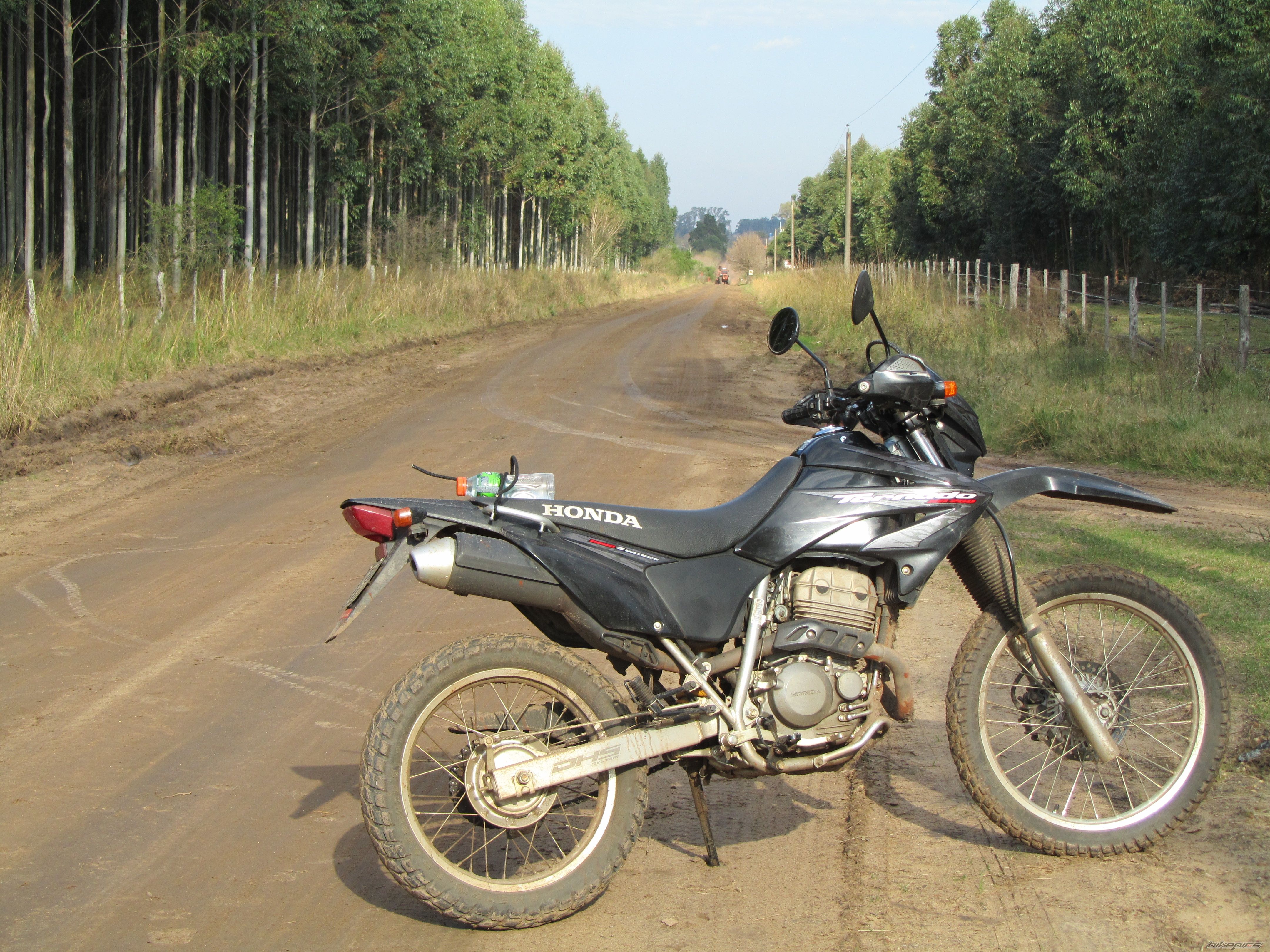 Photo 2011543